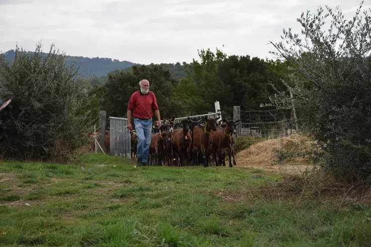 18 hectares de prairies et bois entourent l'exploitation, permettant aux 50 chèvres de pâturer et de produire une grande partie des fourrages.