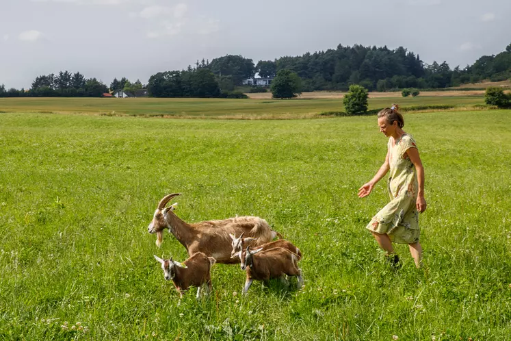 Alida et Edward ont quitté les Pays Bas en 1997 pour voyager, ils élèvent aujourd'hui 90 chèvres au Danemark.