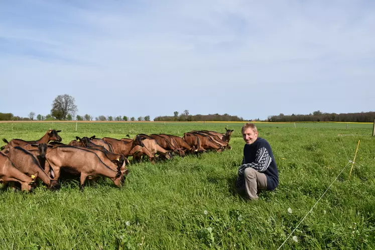 « Lorsque l’on est autonome, en cas de coup dur, on a un souci en moins si on n’a pas de charges alimentaires importantes », expose Christophe Favard, éleveur dans la Vienne.