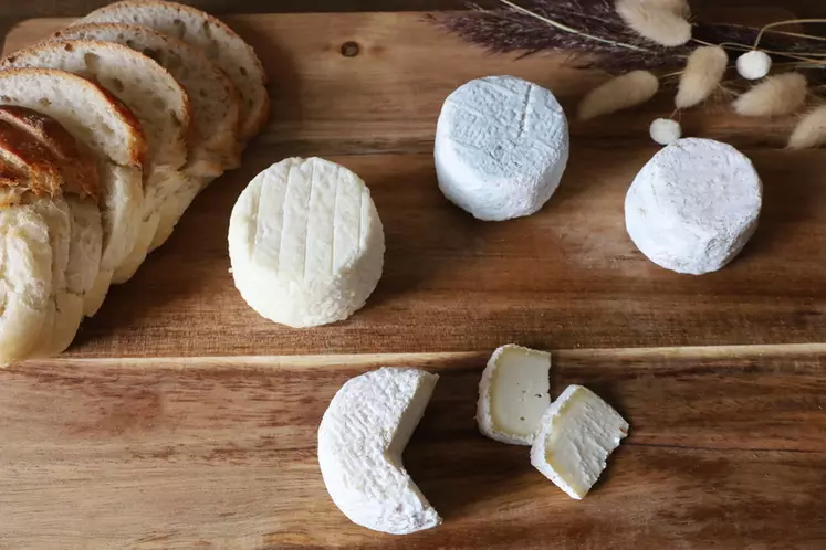 Une légère baisse des fabrications en 2021 pour l'AOP crottin de Chavignol par rapport en 2020, avec 852 t de fromage fabriquées, malgré une hausse de la collecte de 3 % et dans un marché toujours porteur.