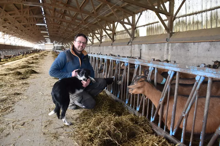 installé à Blou, dans le Maine et Loire, Laurent Ruau tire le meilleur parti des 115 ha de l'exploitation pour alimenter le troupeau. 