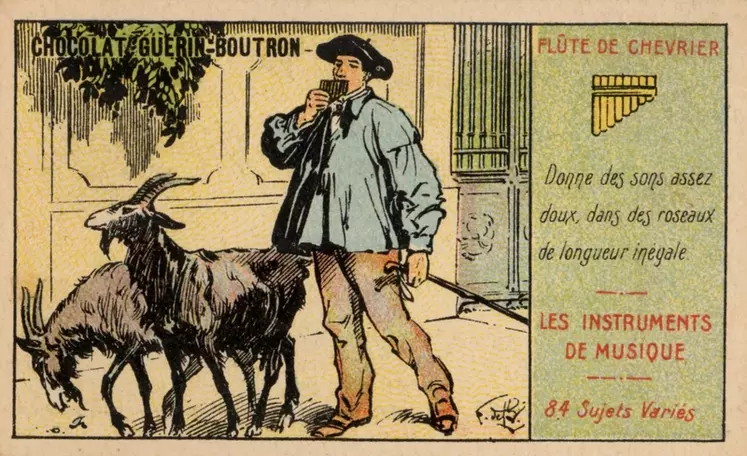 Dans chaque ville de passage, le chevrier chante, joue de la flûte et trait ses chèvres pour les "enfants malades ou riches".