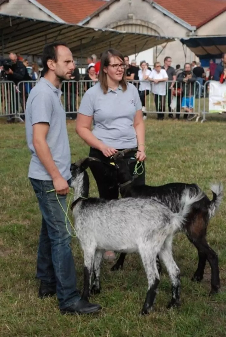 Amandine Descharmes et Simon Lejeune, installés en 2019 à Xivry-Circourt, en Meurthe-et-Moselle élèvent 30 de chèvres de Lorraine en agriculture biologique