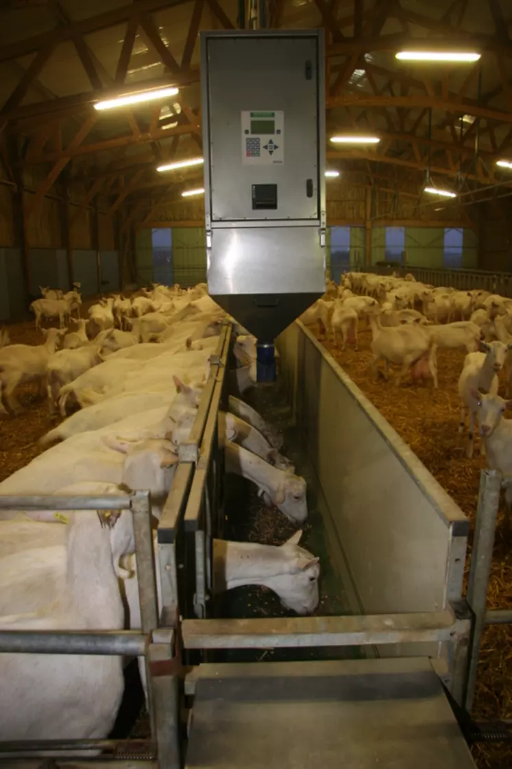 Les distributeurs sur rail s'adaptent à des configurations plus complexes de chèvrerie, à condition de s'assurer de la capacité de la charpente.