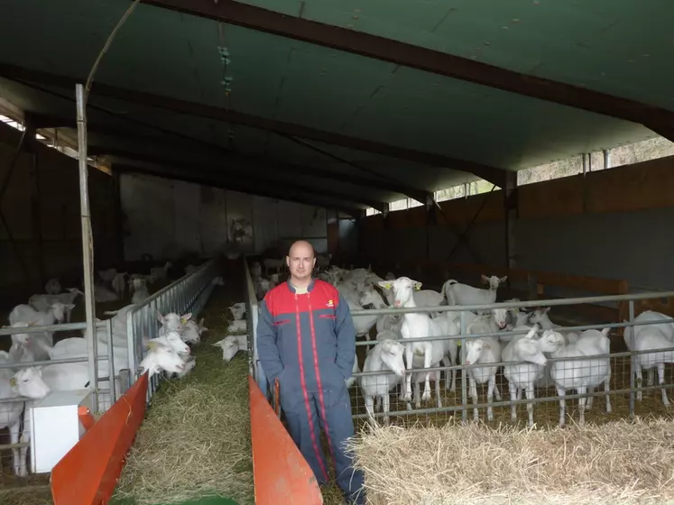 Parmi les chèvres d'Amandine et Fabien (photo) Duffaud, 64 % sont conduites en lactation longue. Un changement radical et une simplification après avoir travaillé avec trois périodes de mises bas.