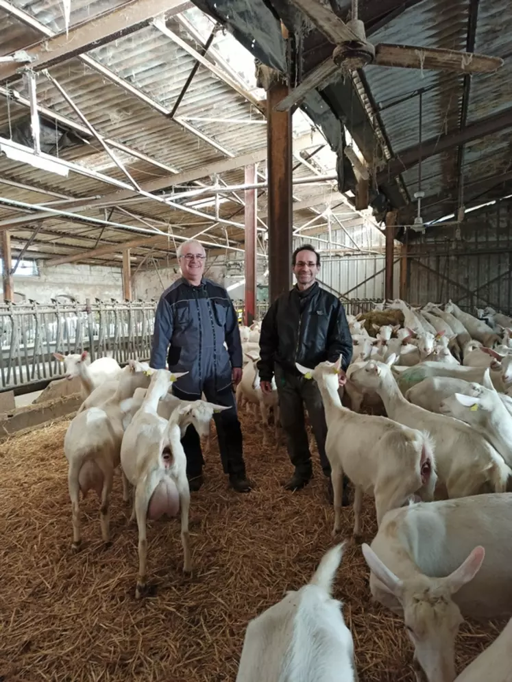 Le choix de conduite en lactation longue fait par Xavier et Didier Gois a permis d'augmenter la production laitière et d'améliorer l'élevage des chevreaux.