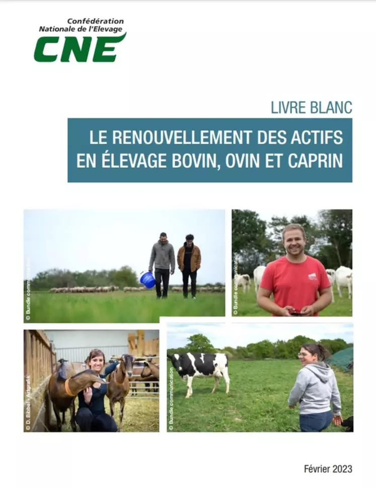 Le livre blanc sur le renouvellement des actifs en élevage bovin, ovin et caprin publié par la Confédération nationale de l’élevage met en avant 27 propositions pour ...