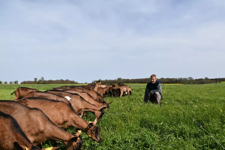 Pour de nombreux éleveurs, l’autonomie protéique est synonyme d’autonomie décisionnelle.