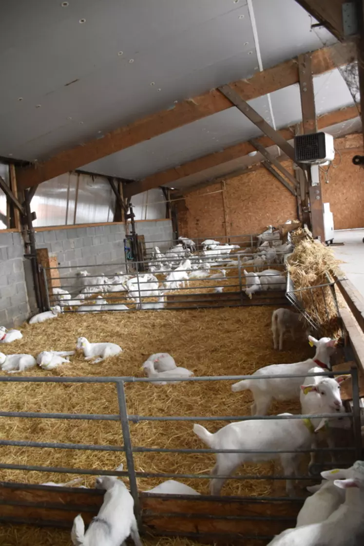 La nurserie construite en 2022 accueille les chevrettes dans de meilleures conditions pour les animaux et les éleveurs.
