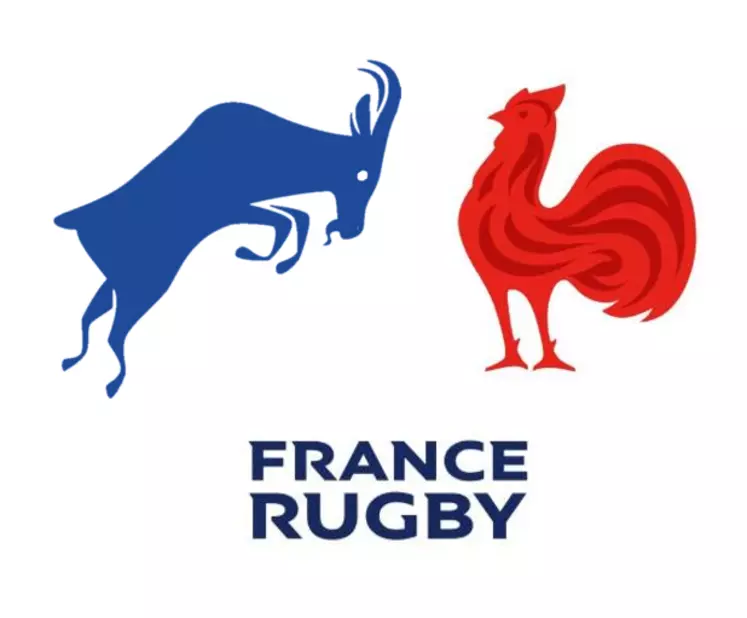 Coq français rugby best sale