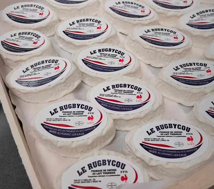 Fromage de chèvre en forme de ballon de rugby