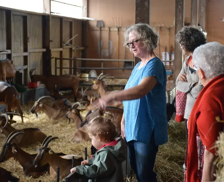 Enfants en visite dans une chèvrerie, éleveuse expliquant son métier, chèvres alpines.