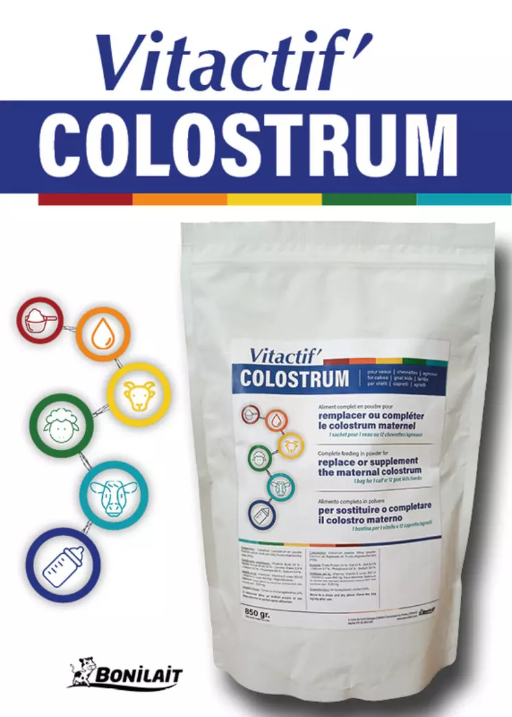 Bonilait a formulé Vitactif Colostrum. Cet aliment complet en poudre permet de compléter ou de remplacer le colostrum maternel.