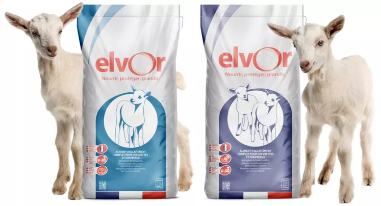 Elvor, filiale du grand groupe laitier français Savencia, est dédié à la nutrition des jeunes animaux depuis 1959.
