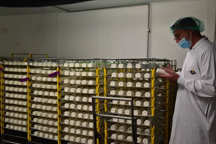 Fromager dans une fromagerie