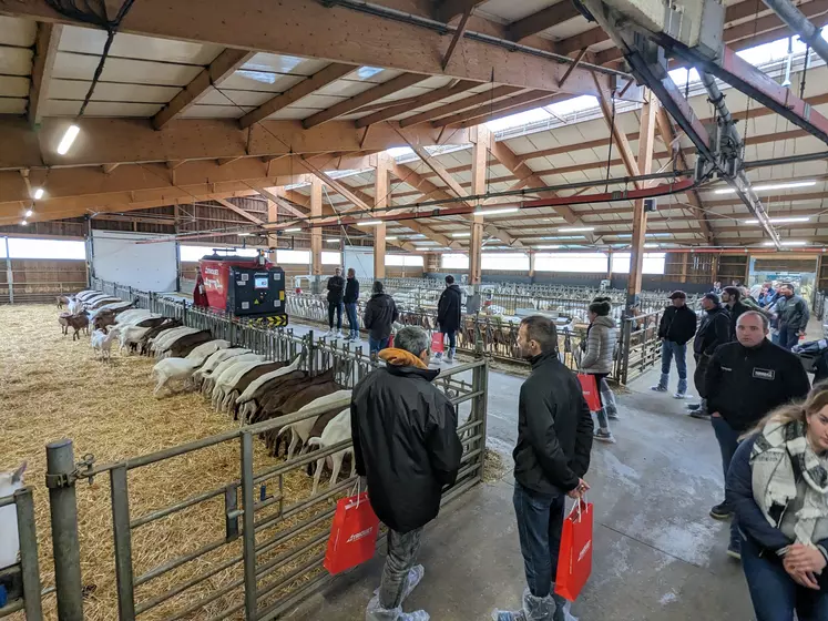 Visite de l'élevage de chèvre de l'EARL des Tilleuls dans la Vienne avec robot d'alimentation et bâtiment lumineux