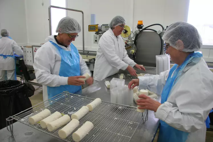 Fabrication de fromages de chèvre à la fromagerie de Celles-sur-Belle