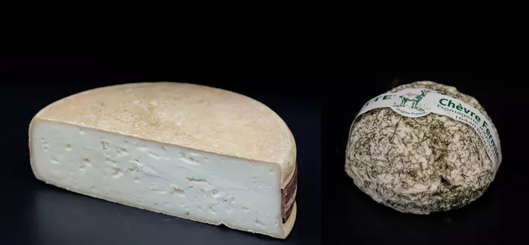 Deux fromages de chèvre : Le Moelleux de chèvre et la Taupinette à l’aneth