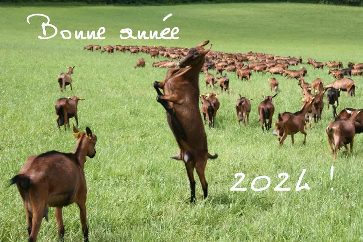 Troupeau de chèvres alpines au pâturage et inscription "Bonne année"