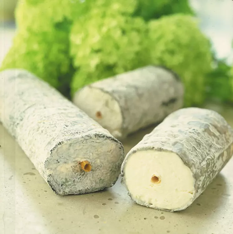 Fromage de chèvre sainte-maure-de-touraine AOP