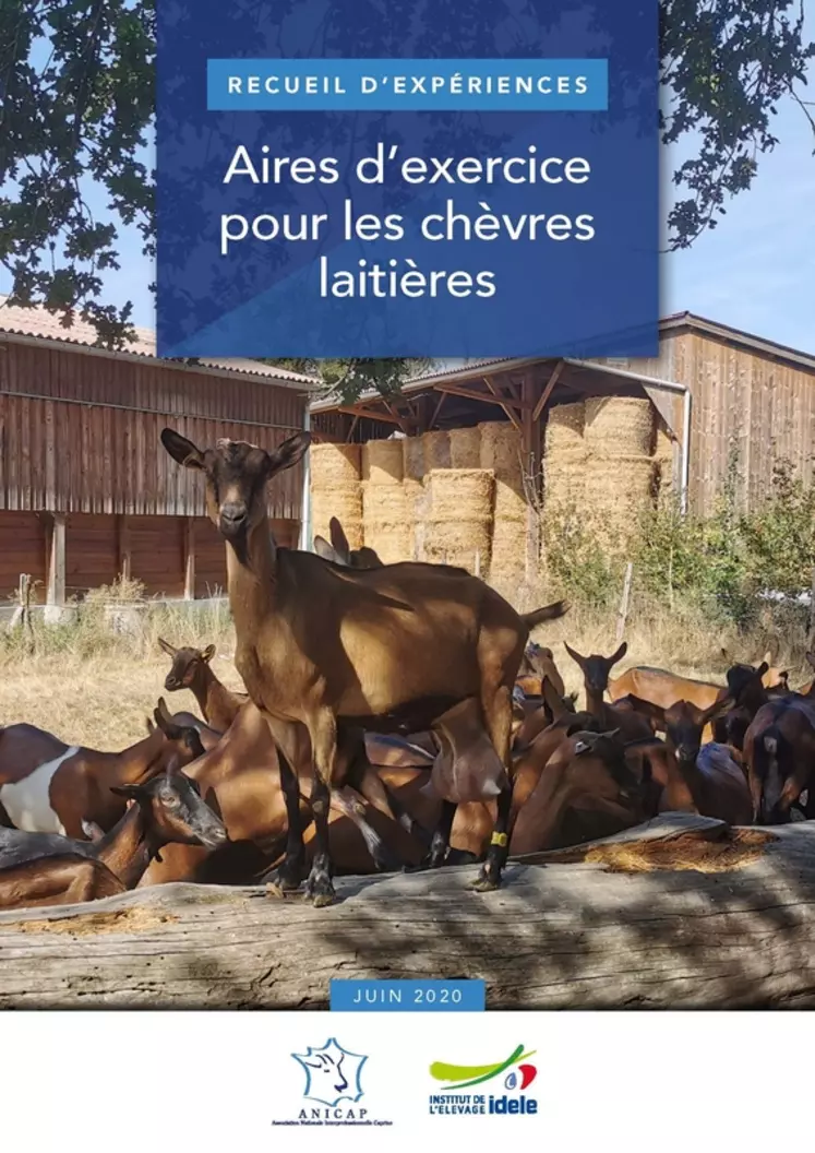 Première page de La brochure Aires d’exercice pour les chèvres laitières