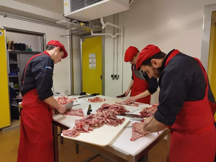 Dans le cadre du plan de filière chevreau d’Auvergne-Rhône-Alpes, des formations sont organisées dans les centres d’apprentissage boucher afin de faire découvrir la ...