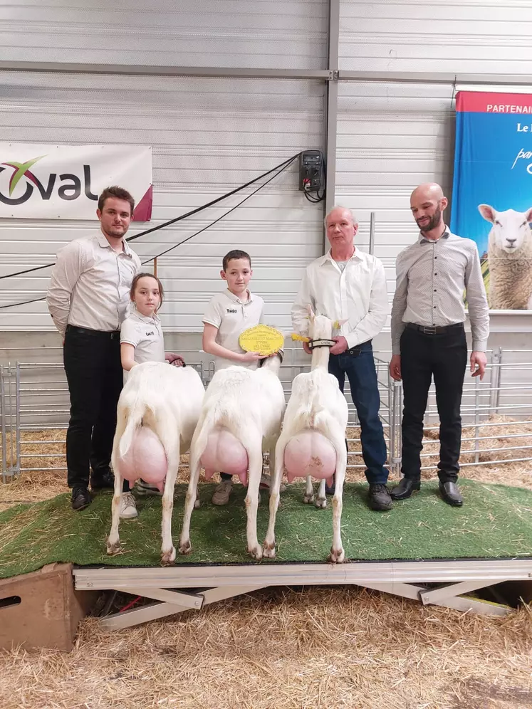 Eleveurs présentant l'arrière de trois jolies chèvres de race saanen.