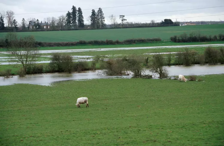 Prairie inondée