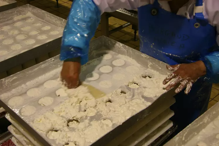 Fabrication de fromages de chèvres à Celles-sur-Belle