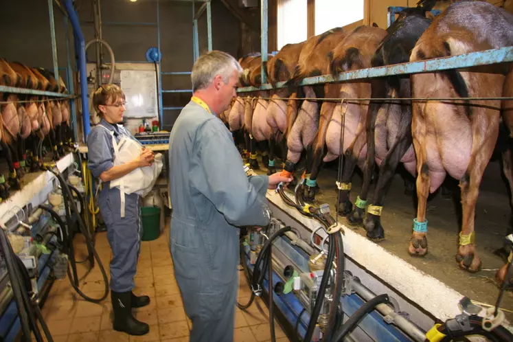 Traite des chèvres et contrôle laitier en Haute-Savoie