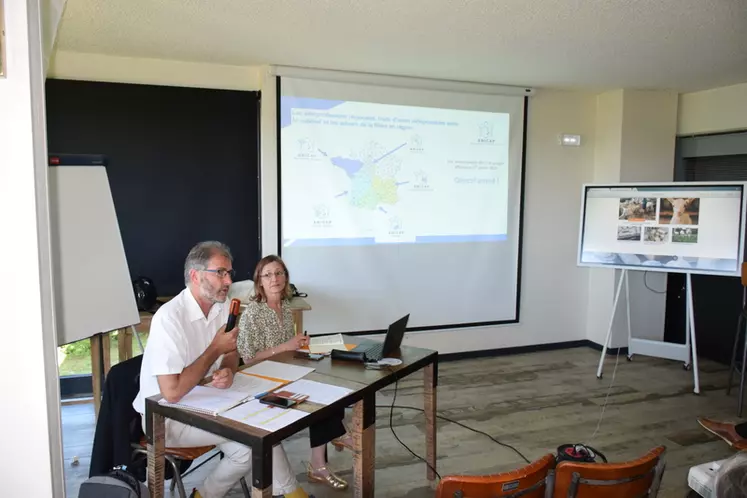 Mickaël Lamy et Marilyne Le Pape, président et directrice de l'Anicap, ont présenté la nouvelle carte des interprofessions caprines régionales lors de l'assemblée ...