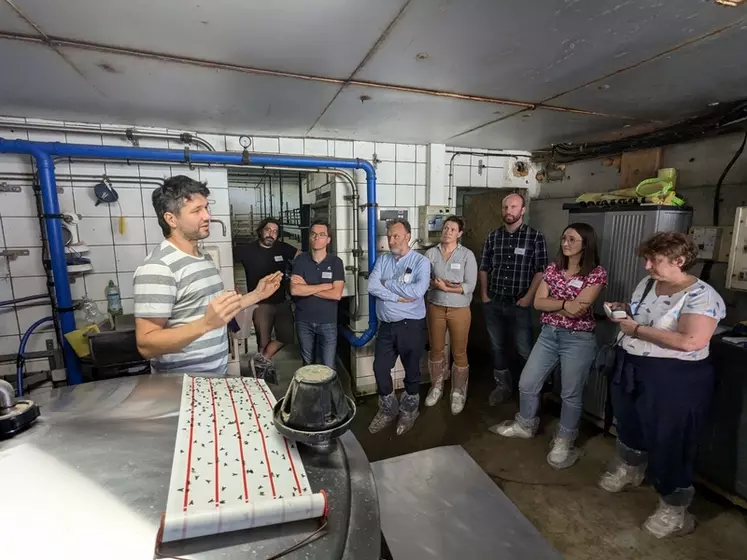 visite de la ferme