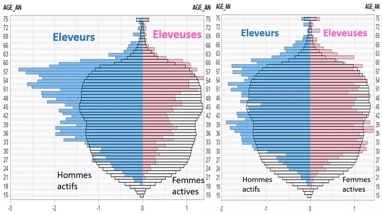 Pyramides des âges des éleveurs caprins laitiers (à droite) et fromagers fermiers (à gauche) vs population active française à l'emploi