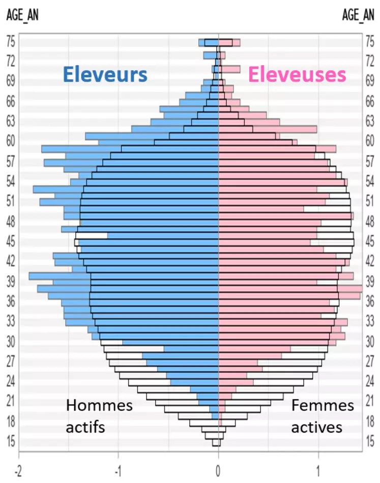 Pyramide des âges des éleveurs caprins fromagers fermiers vs population active française à l'emploi