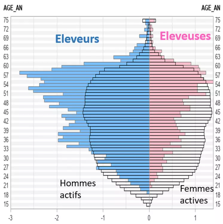 Pyramide des âges des éleveurs caprins laitiers vs population active française à l'emploi