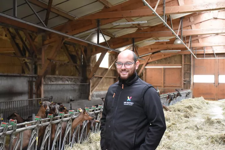 Aurélien Lepin, éleveur ovin
