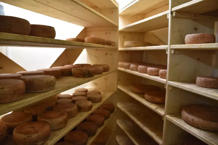 Fromages de chèvre