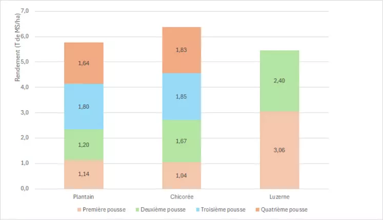Rendement fourrager des parcelles en plantain, chicorée et luzerne de mars à mi-juin.
