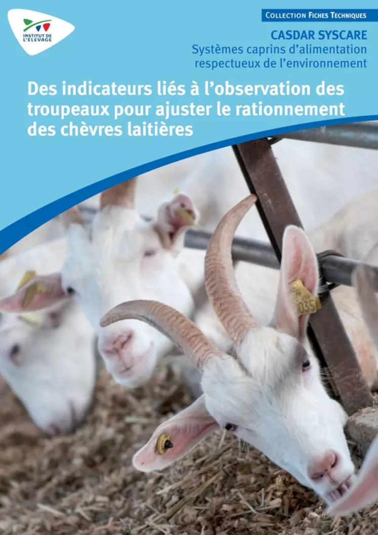 Des indicateurs liés à l'alimentation des troupeaux pour ajuster le rationnement des chèvres laitières