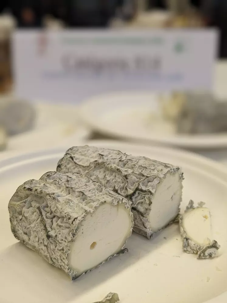 Fromage sainte maure de touraine AOP