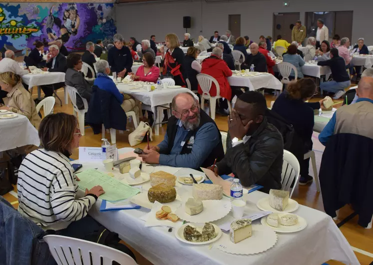 Dégustation de fromage lors du concours Fromagora 2024