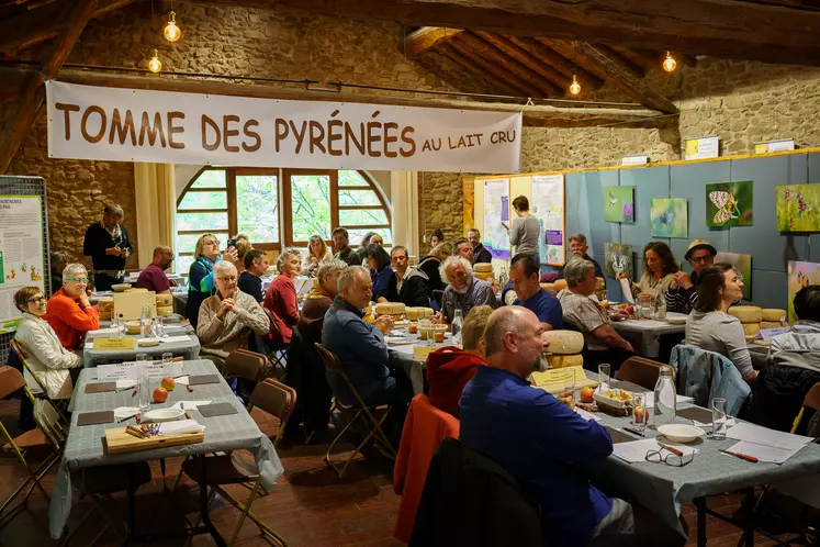 Jury du concours de la tomme des Pyrénées au lait cru 2024