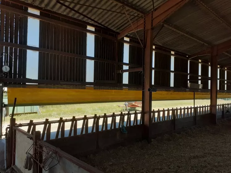 Bâtiment ovin-caprin avec rideau en partie basse