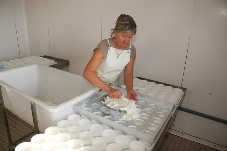 Moulage de fromages fermiers avec un multimoule