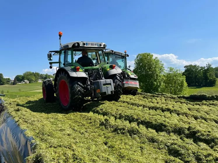 Tassage du silo d'ensilage