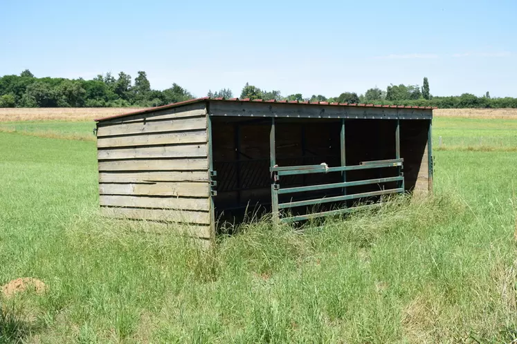 Cabane pour les chevrettes