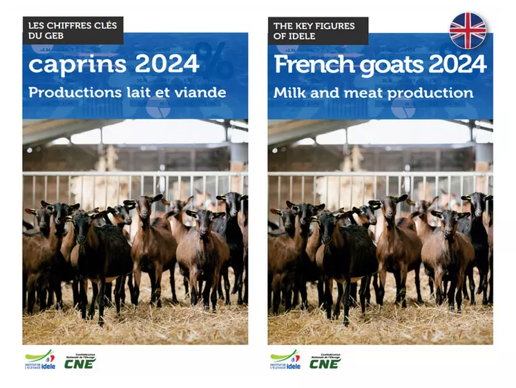 Les chiffres-clés caprins du GEB en français et en anglais
