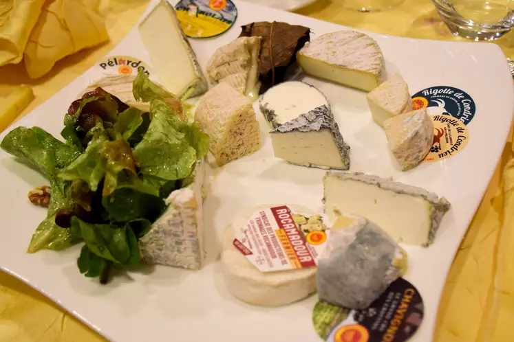 Assiette contenant les fromages de chèvre AOP