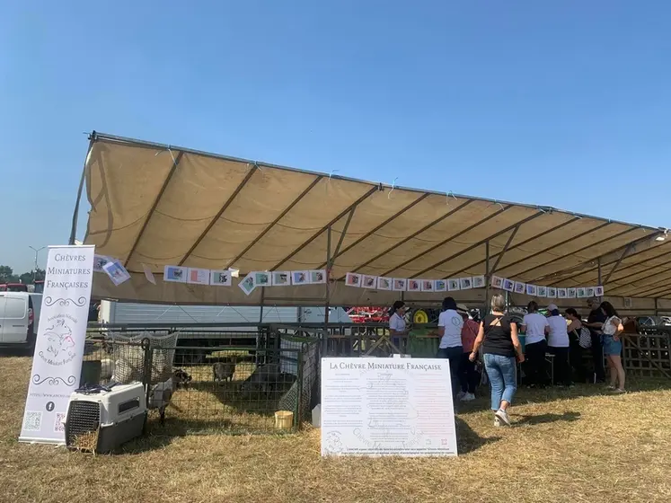 <em class="placeholder">Stand de l’Association nationale de la chèvre miniature française au comice de Rambervillers (88)</em>