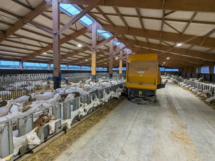 <em class="placeholder">Distribution de la ration aux chèvres avec le robot Lucas G</em>